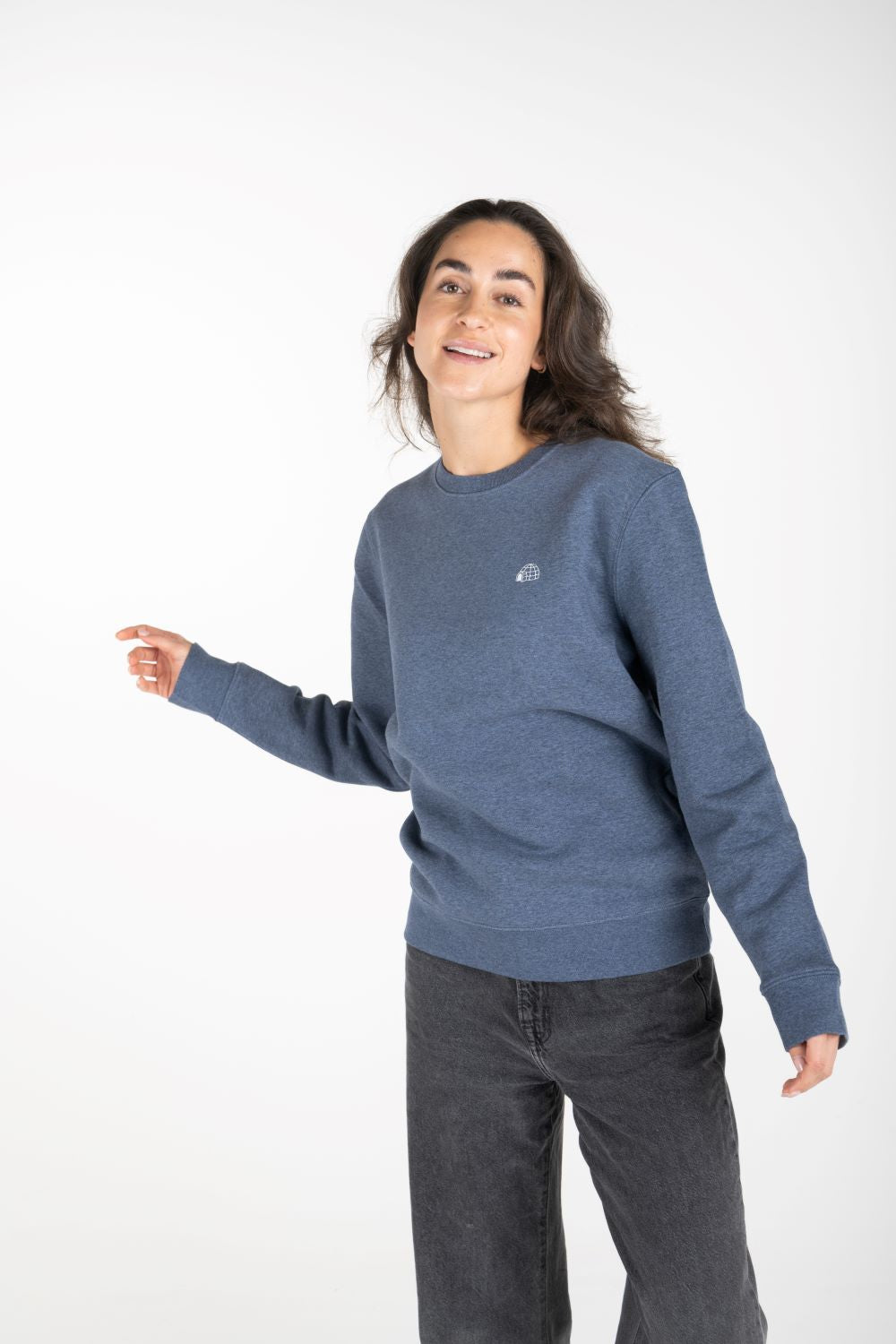 Sweaters blauw STRØM