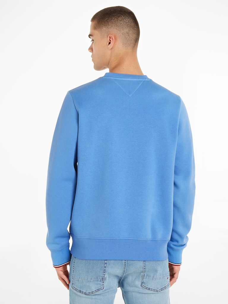 Sweaters blauw Tommy Hilfiger