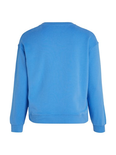 Sweaters blauw Tommy Hilfiger
