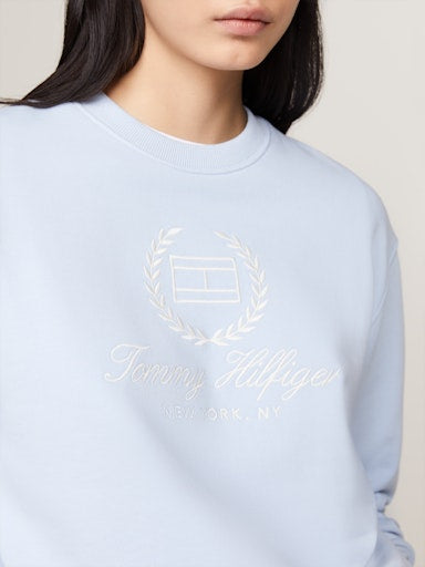 Sweaters blauw Tommy Hilfiger