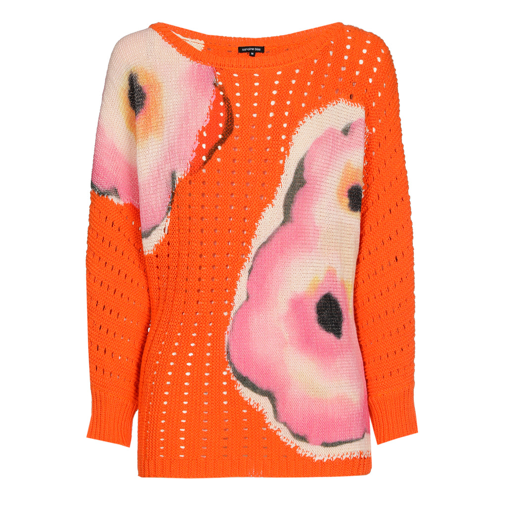 Pulls multicolor Caroline Biss