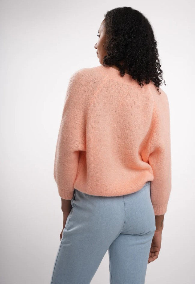 Pulls oranje BLACK ROSE