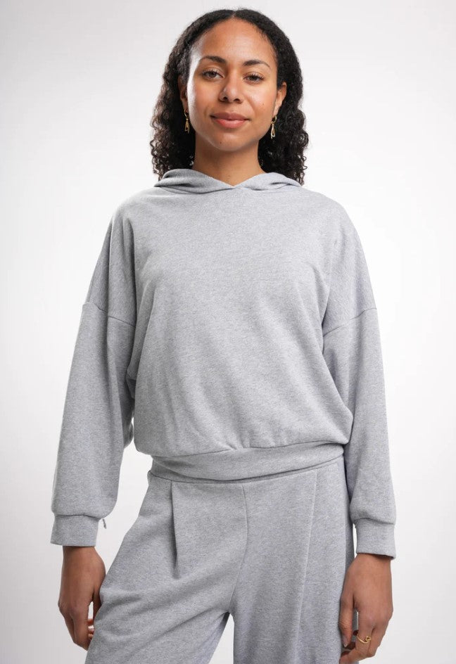 Sweaters grijs BLACK ROSE